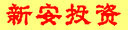 新安投资咨询有限公司