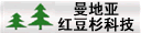 洛阳曼地亚红豆杉科技开发有限公司