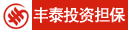 河南丰泰投资担保有限公司