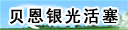 信阳贝恩银光活塞有限公司