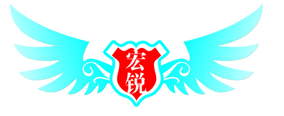 中国平安保险有限公司