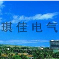 驻马店琪佳电气有限公司