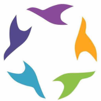 河南华为科技有限公司